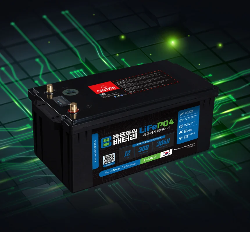RAONPOWER battery for a custom UPS installation